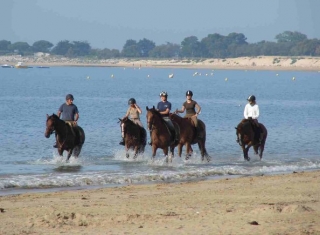 Randonnee equestre Ile de Re